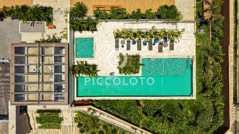 Imagem do lançamento