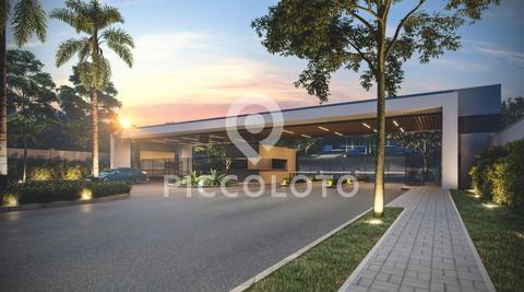 Imagem do lançamento