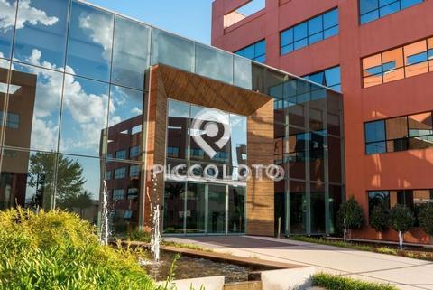 Sala para alugar em Campinas, Loteamento Alphaville Campinas, com 193.56 m²